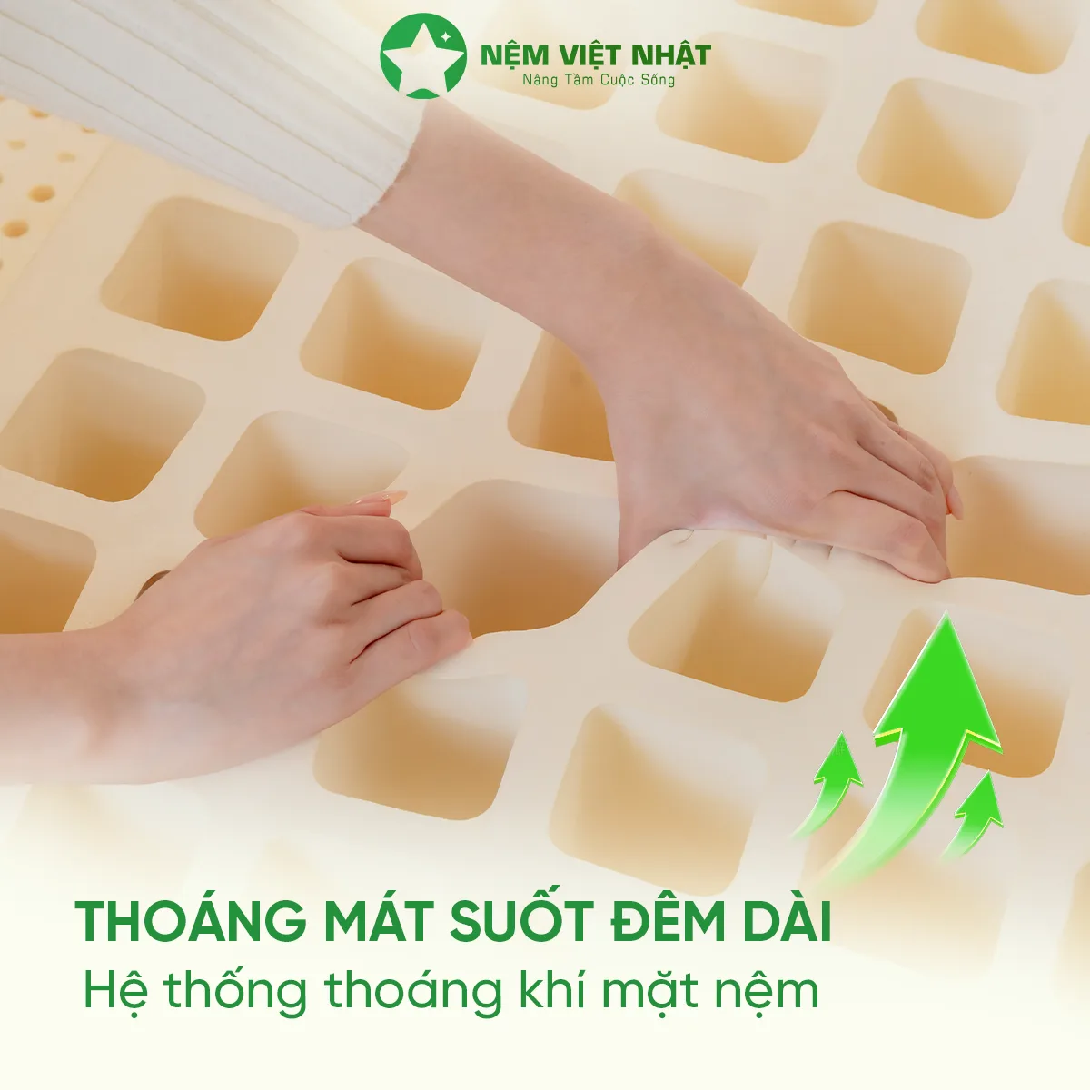 Nệm Cao Su Thiên Nhiên Việt Nhật Natural